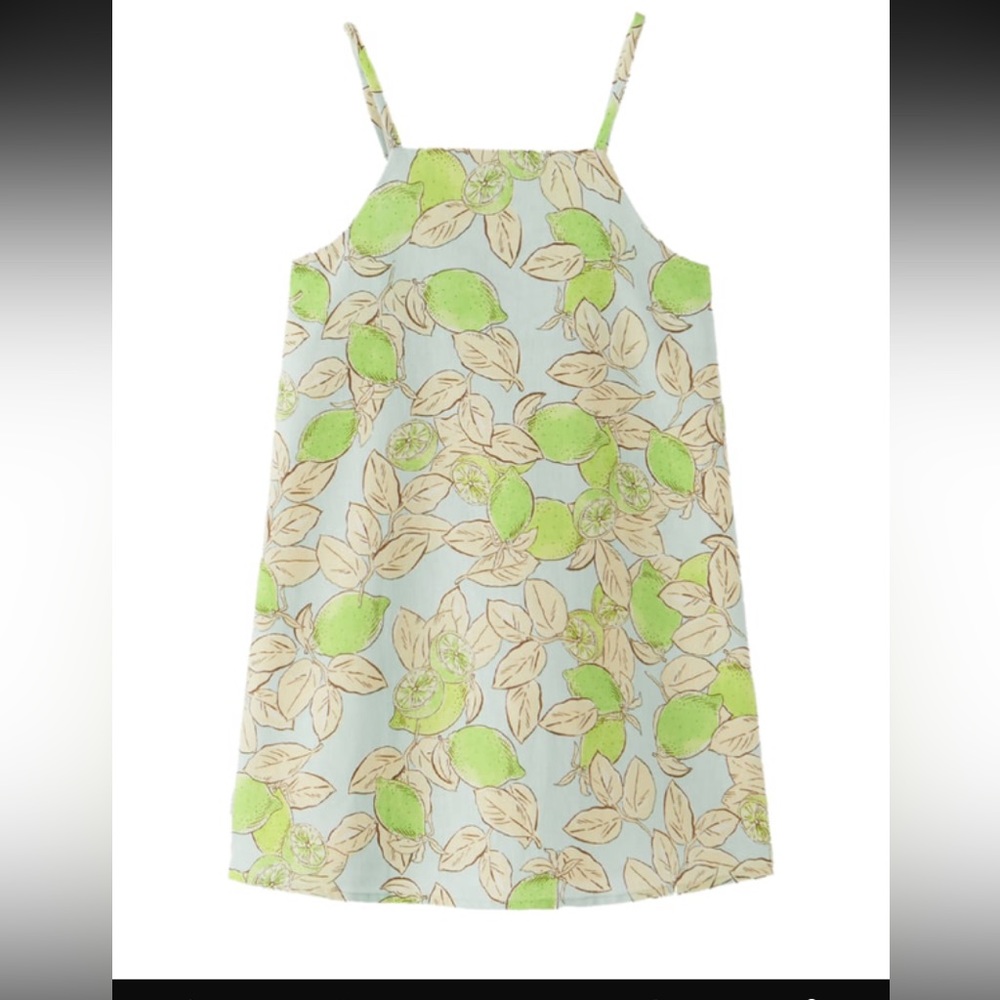 NWT Zara dress